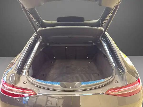 MERCEDES-BENZ AMG GT S (11/25)