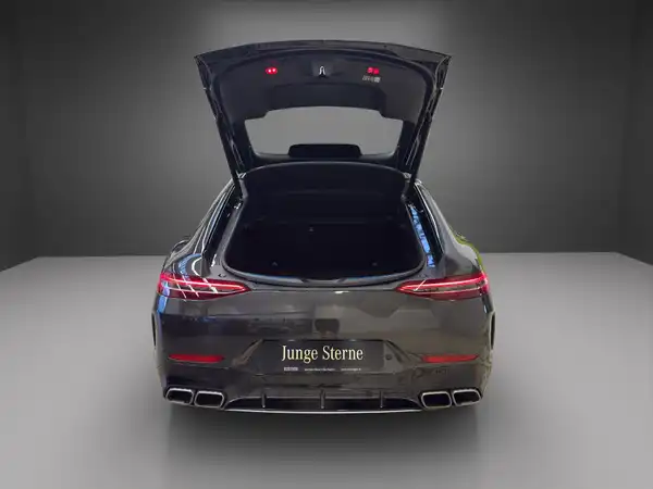 MERCEDES-BENZ AMG GT S (12/25)