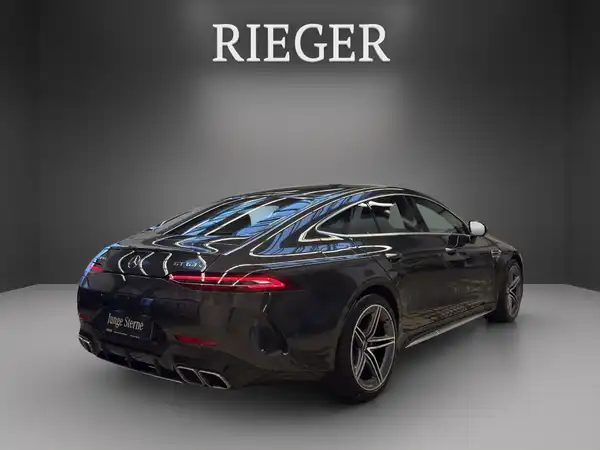 MERCEDES-BENZ AMG GT S (13/25)