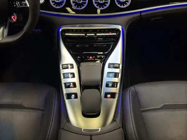 MERCEDES-BENZ AMG GT S (20/25)