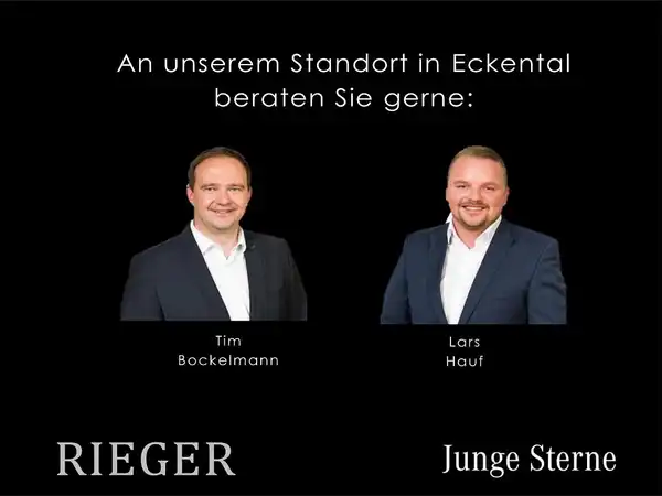 MERCEDES-BENZ ECITAN (17/19)