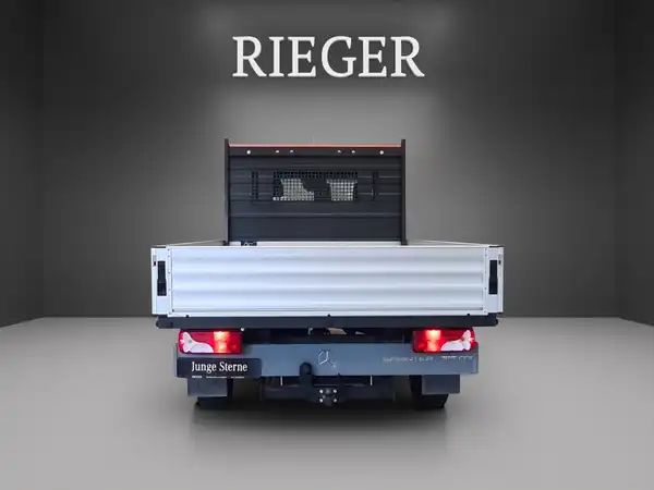 MERCEDES-BENZ SPRINTER 315 (9/25)